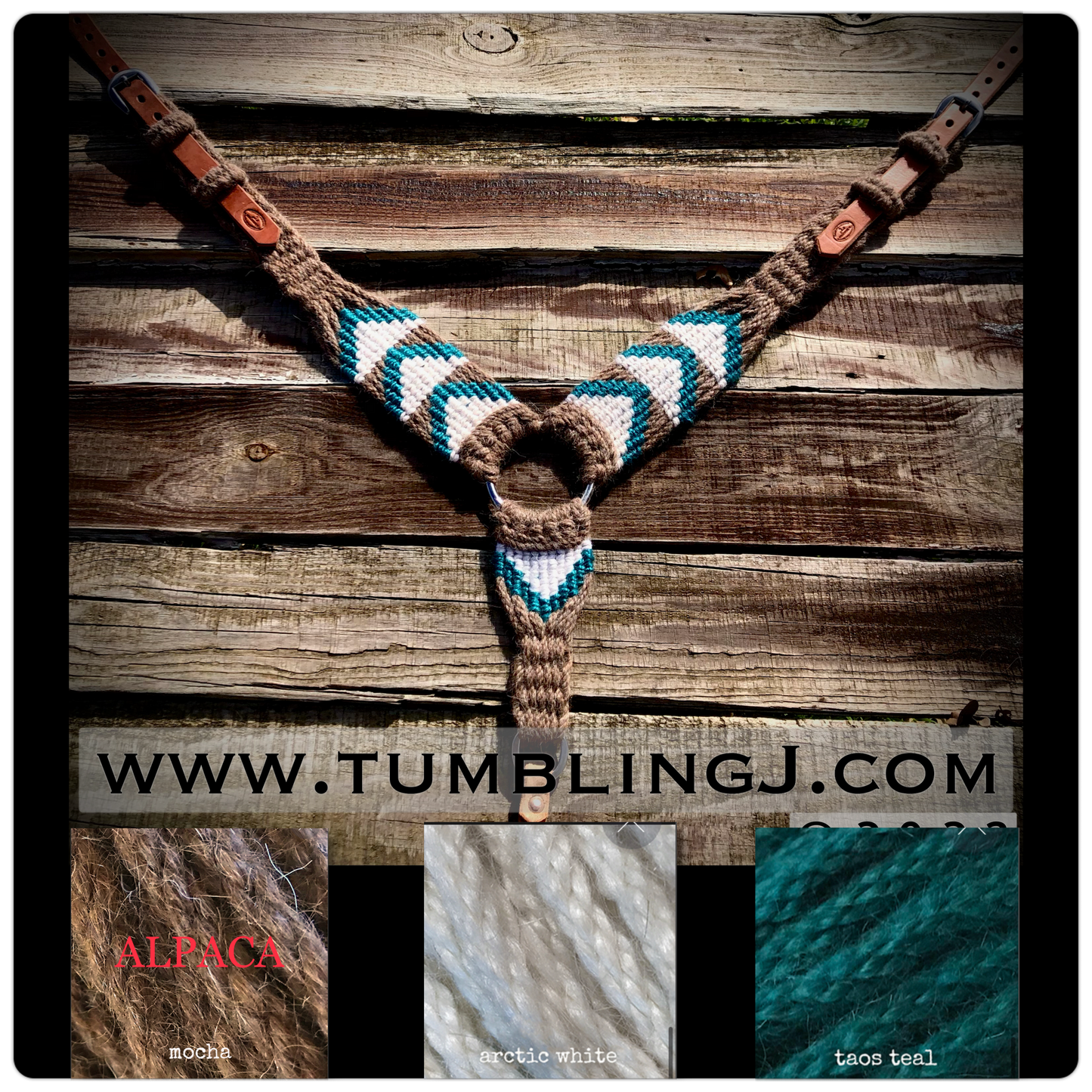 Chocolate Alpaca/Teal pulling collar