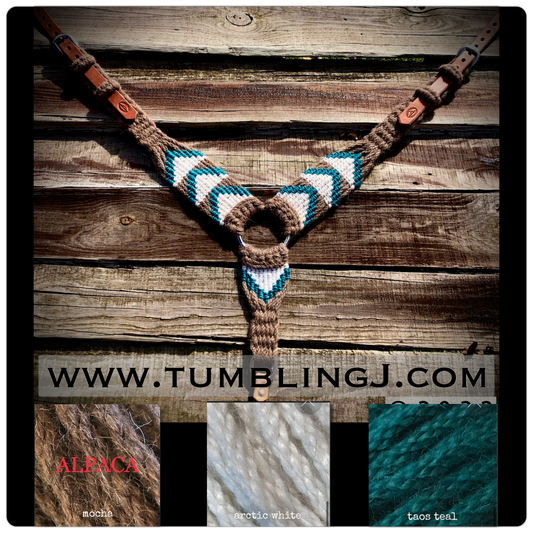 Chocolate Alpaca/Teal pulling collar